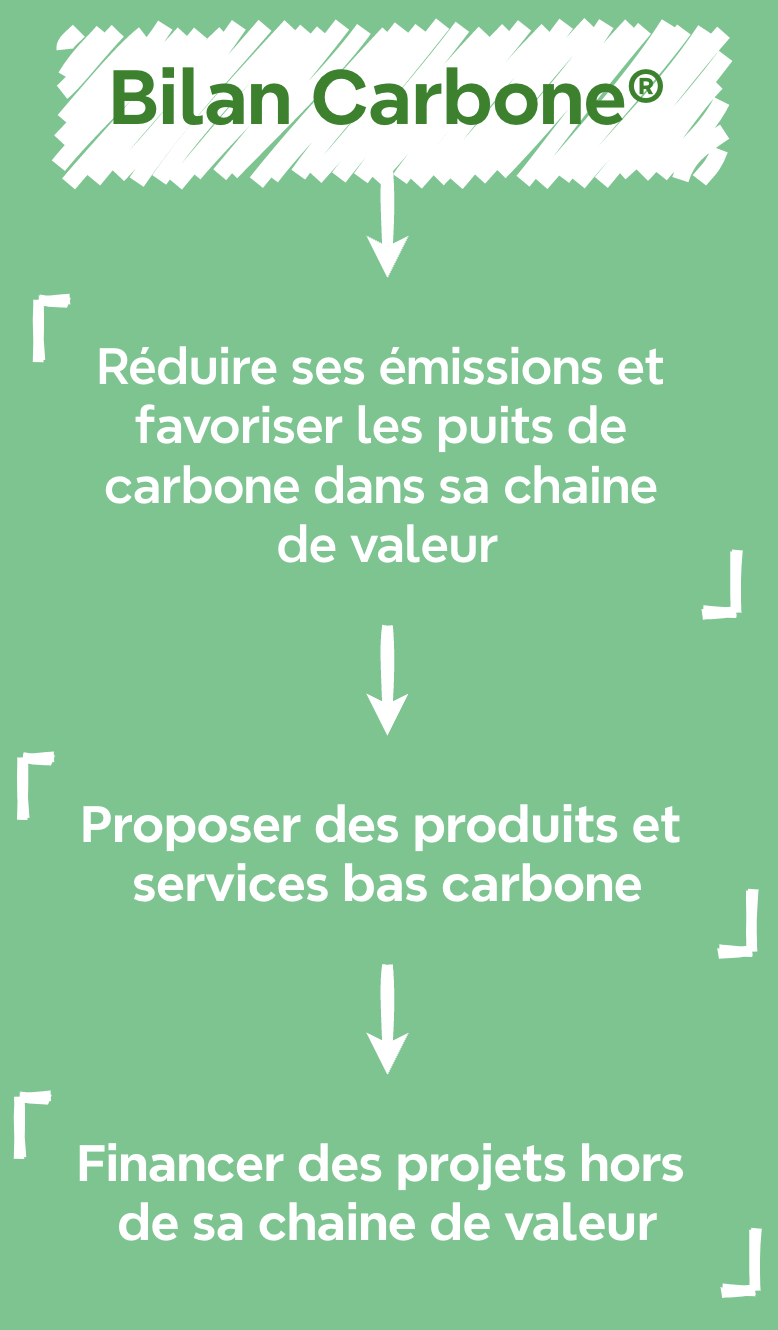 strategie de decarbonation suite à un bilan carbone